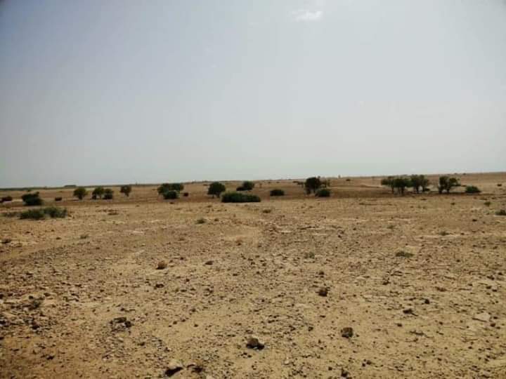 IMG 20200704 WA0097 - مشاهد بريس