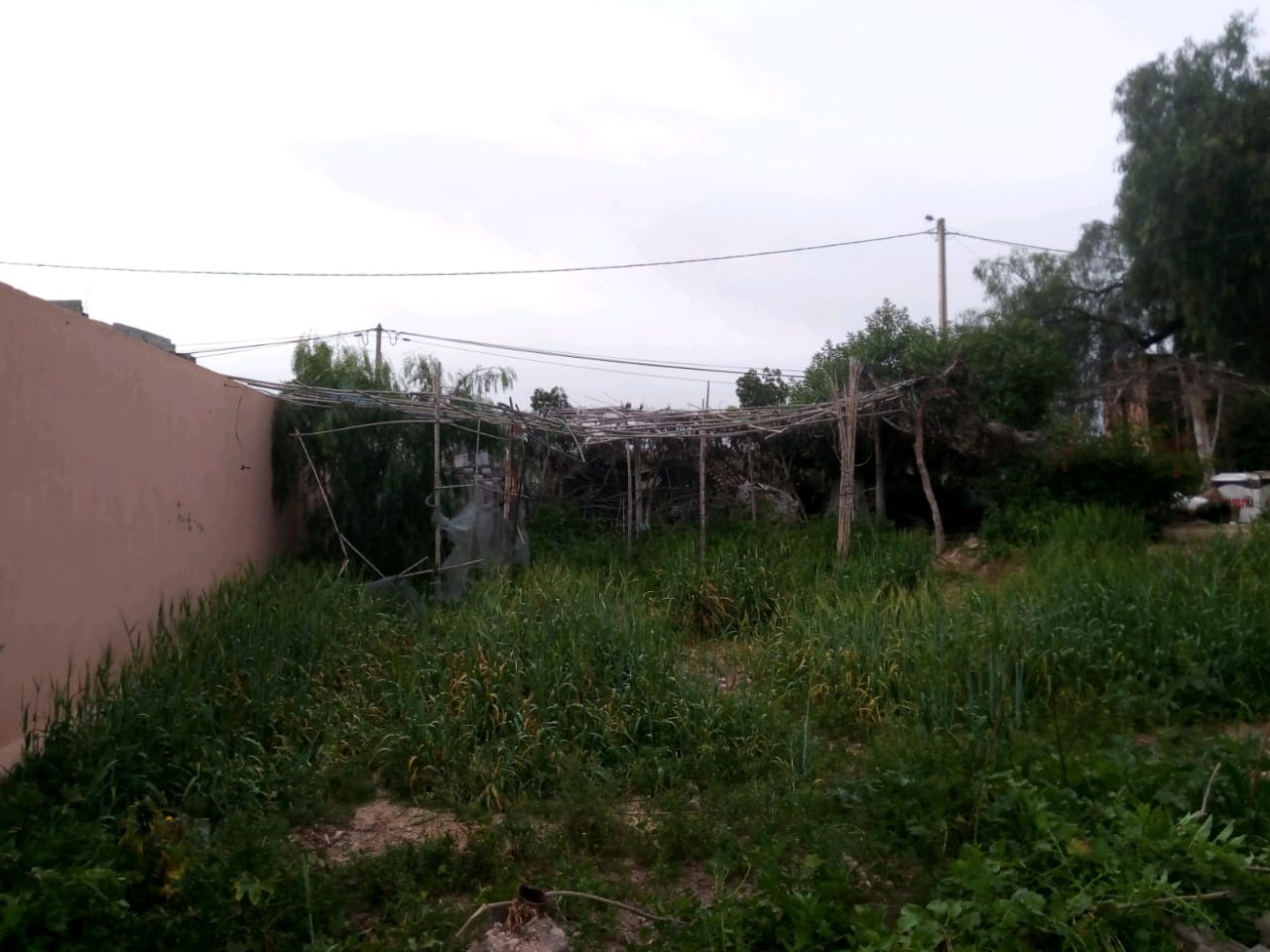 IMG 20210314 WA0104 - مشاهد بريس