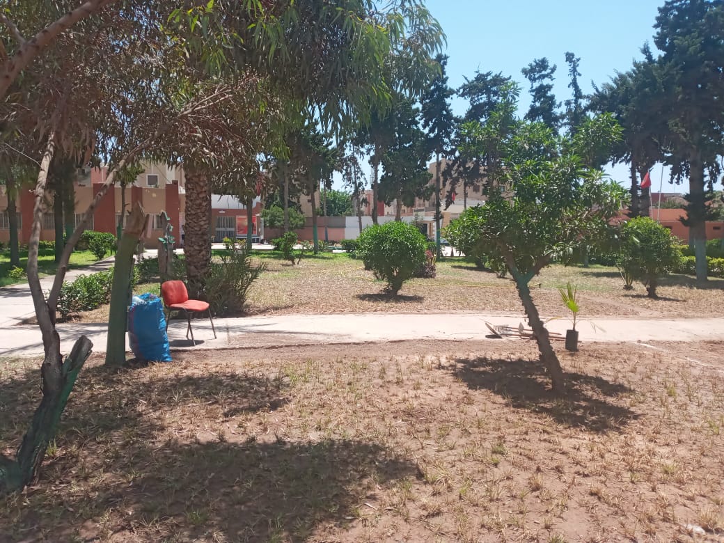 IMG 20220808 WA0013 1 - مشاهد بريس