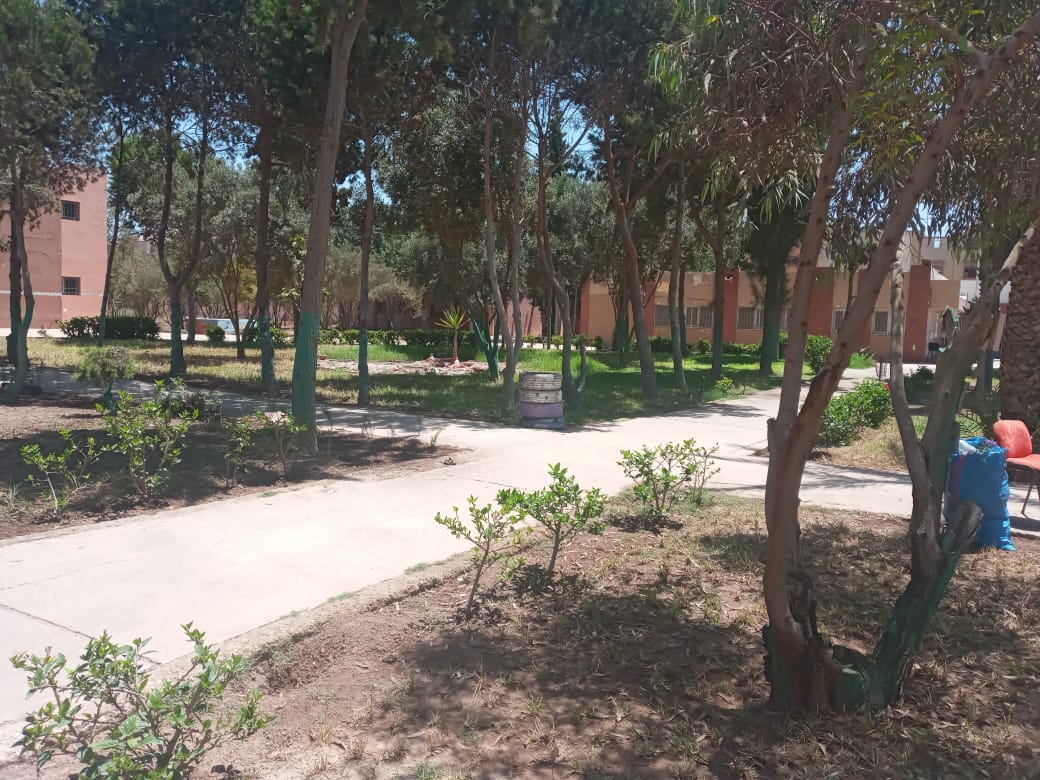 IMG 20220808 WA0014 1 - مشاهد بريس