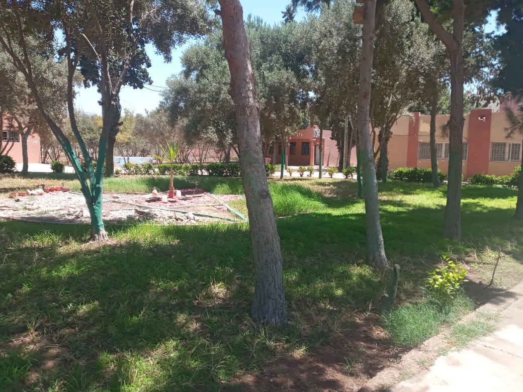 IMG 20220808 WA0015 1 - مشاهد بريس