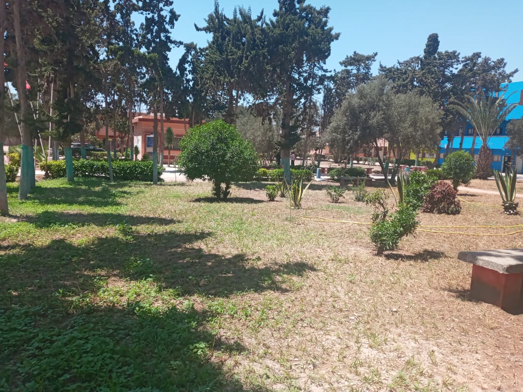 IMG 20220808 WA0018 - مشاهد بريس