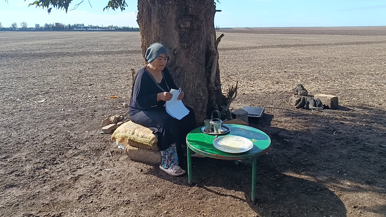 IMG 20251116 WA0021 - مشاهد بريس