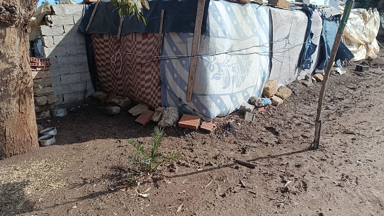 IMG 20251116 WA0025 - مشاهد بريس