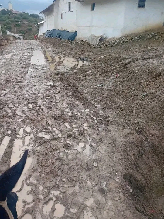 IMG 20251118 WA0023 - مشاهد بريس