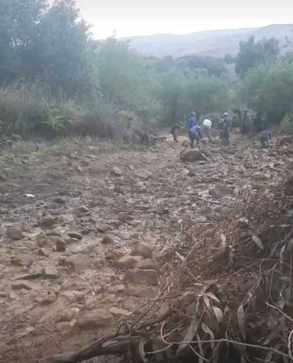 IMG 20251118 WA0024 - مشاهد بريس