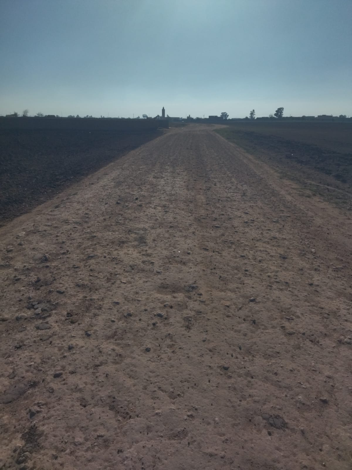 IMG 20251121 WA0041 - مشاهد بريس