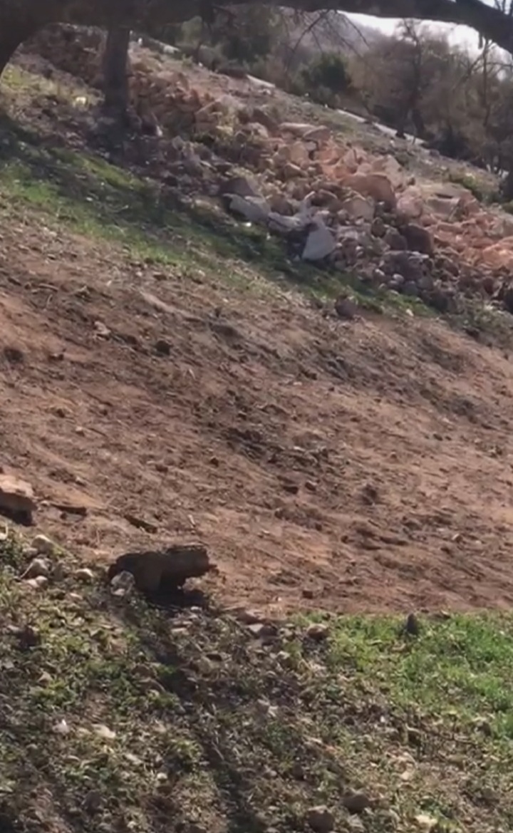 IMG 20251130 WA0068 - مشاهد بريس