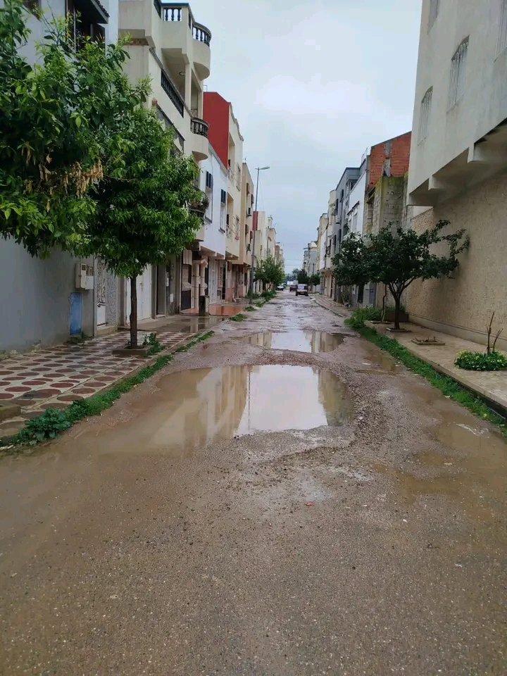 IMG 20251229 WA0022 - مشاهد بريس