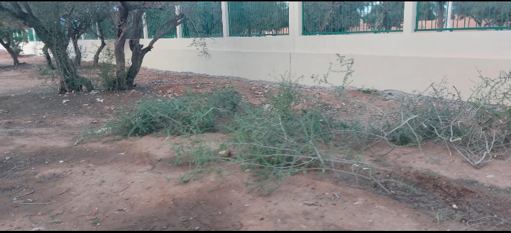 Screenshot 2025 12 17 09 33 46 75 - مشاهد بريس