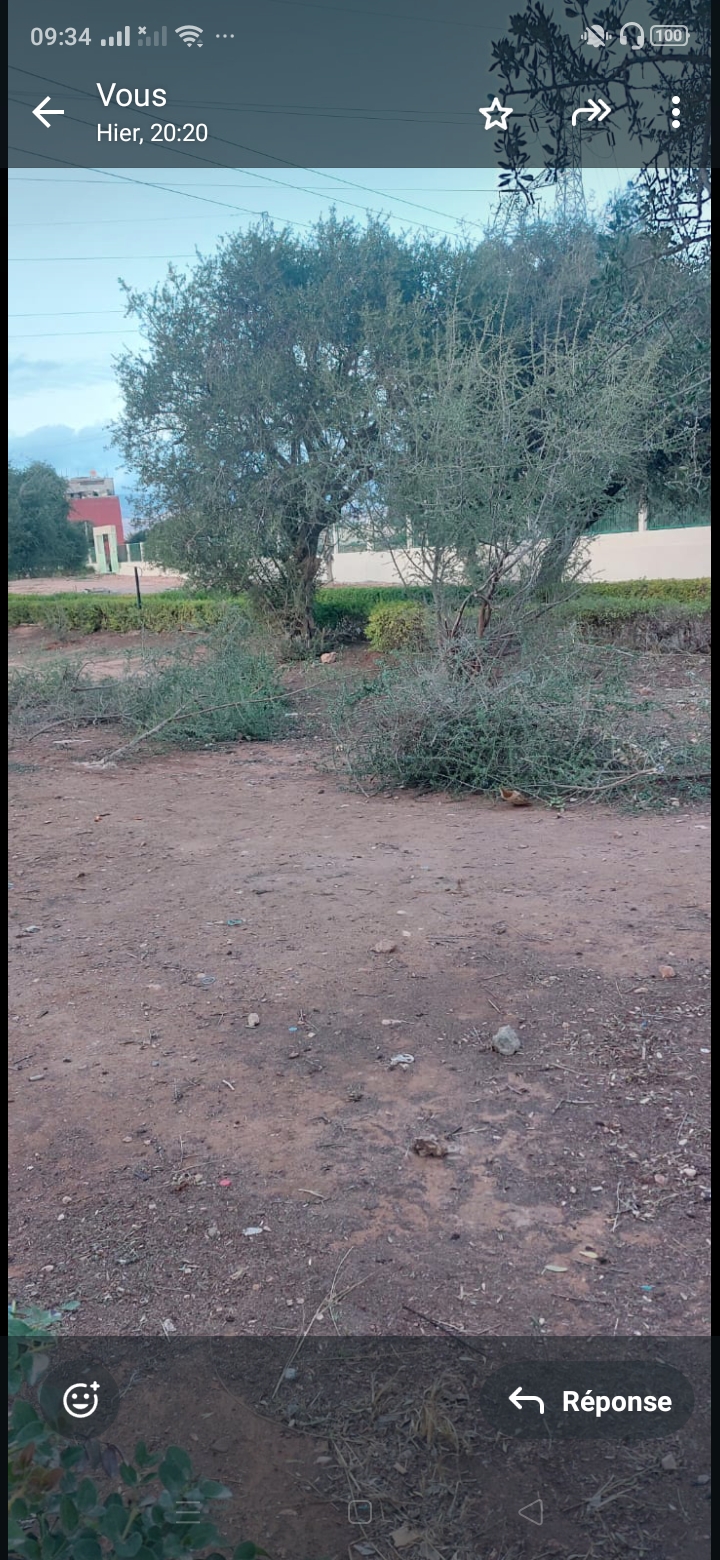 Screenshot 2025 12 17 09 34 07 92 - مشاهد بريس