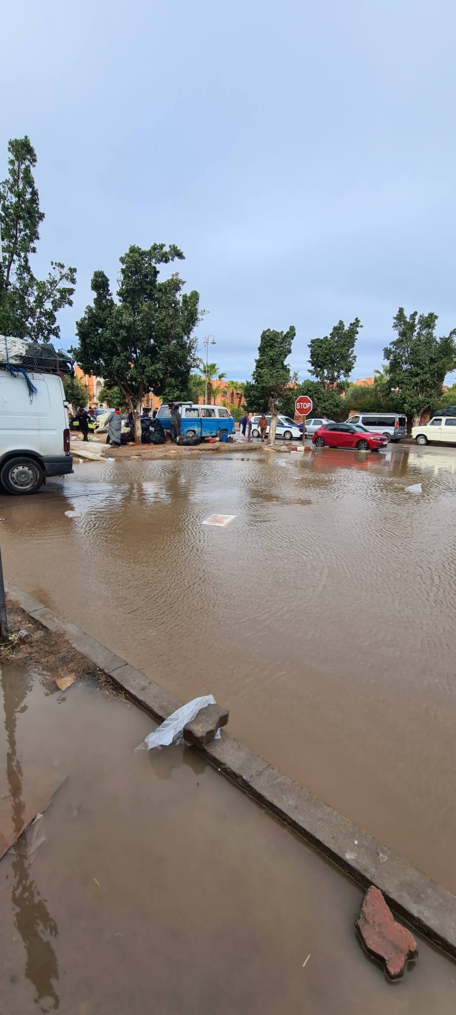 1000329399 - مشاهد بريس