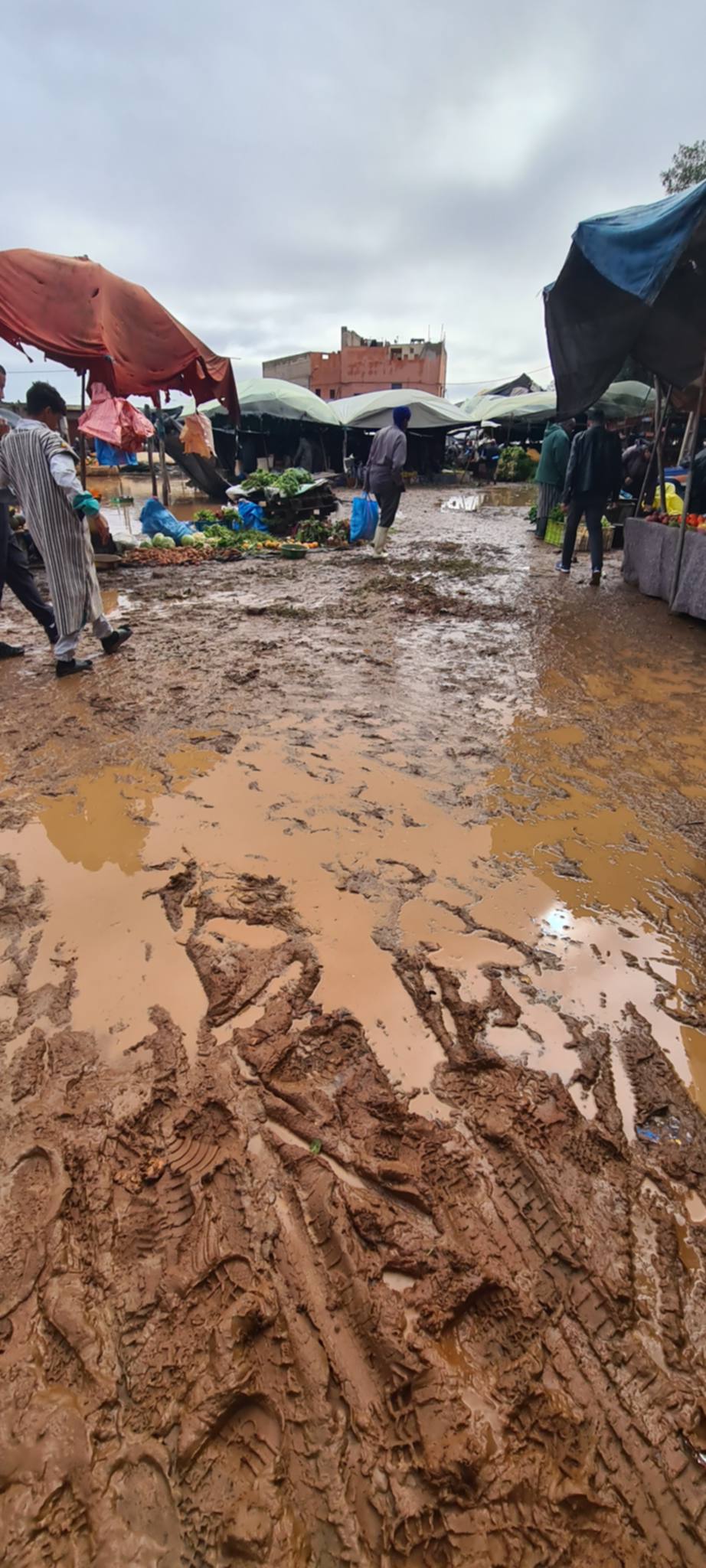 1000329400 - مشاهد بريس