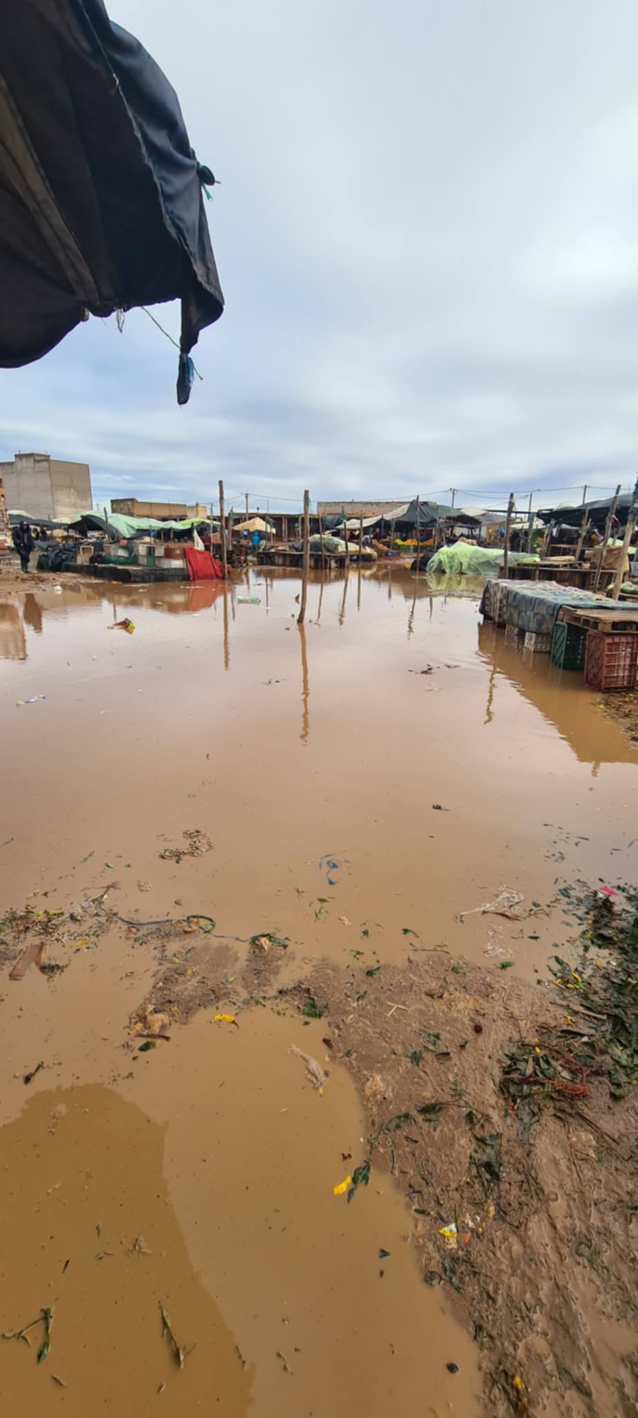 1000329402 - مشاهد بريس