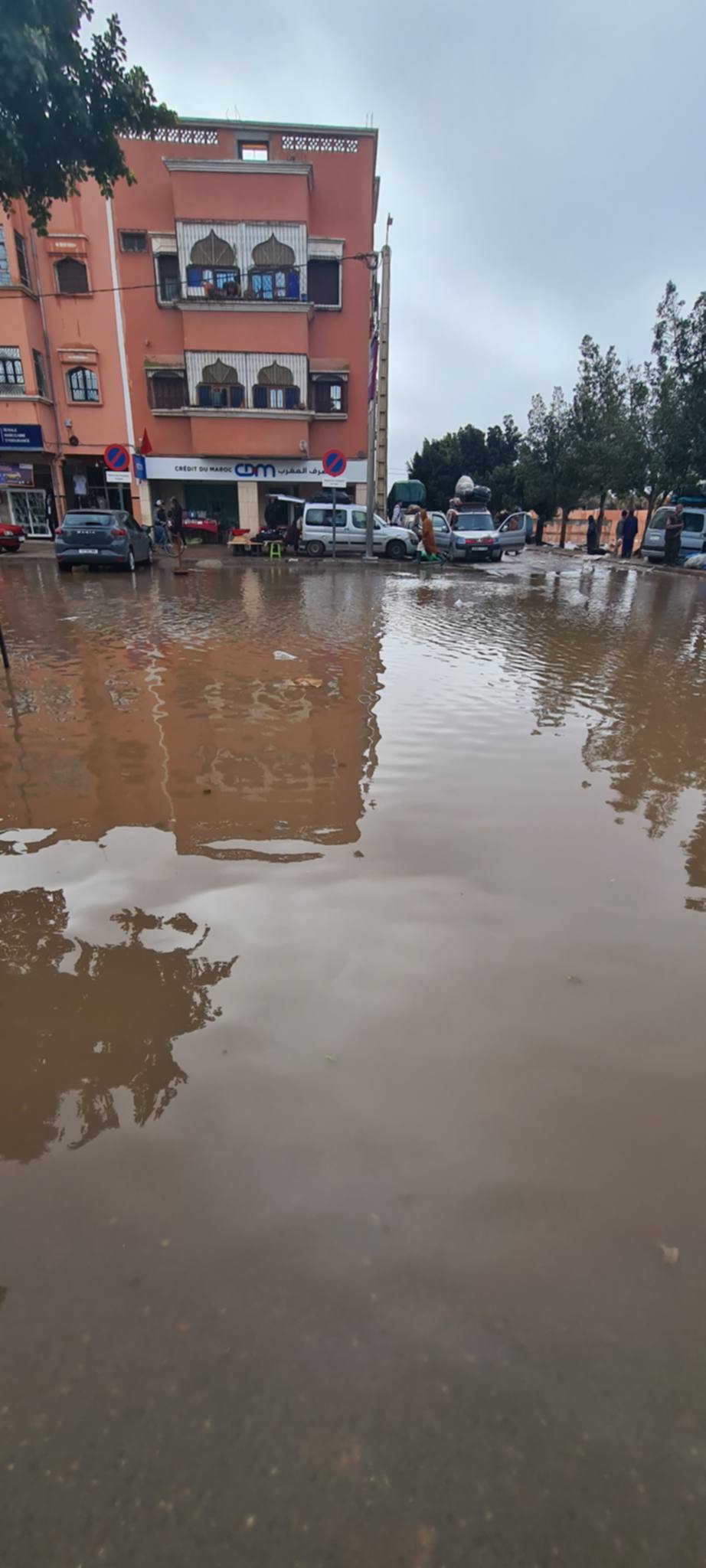 1000329403 - مشاهد بريس