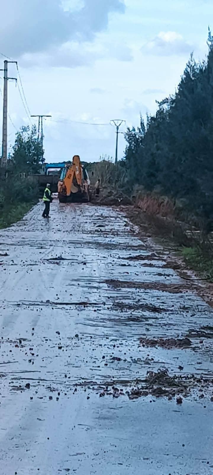 FB IMG 1769443755389 - مشاهد بريس