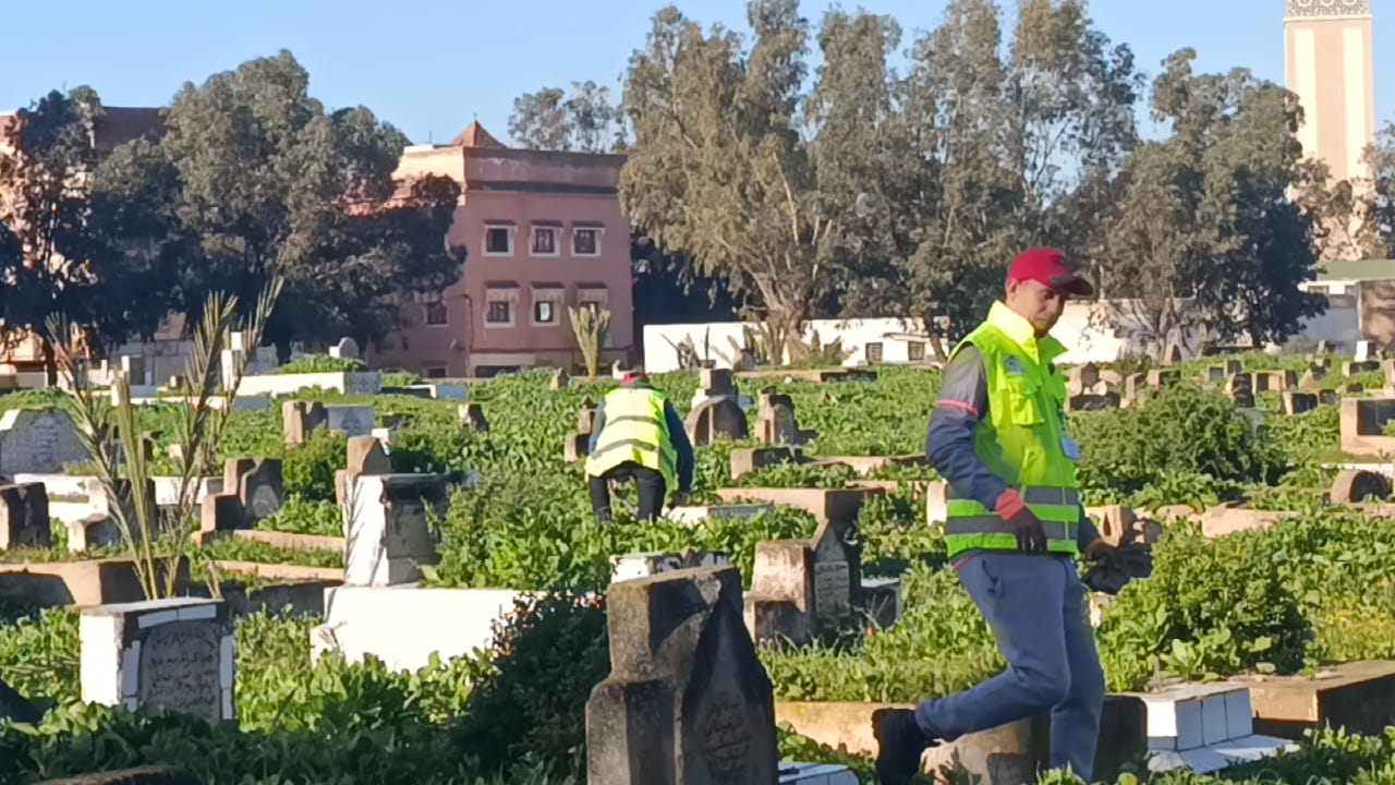 IMG 20260112 WA0045 - مشاهد بريس