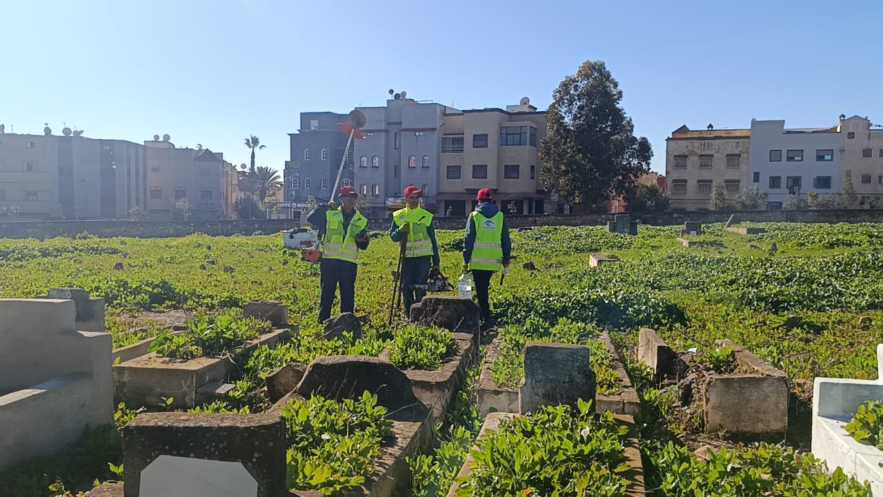 IMG 20260112 WA0065 - مشاهد بريس