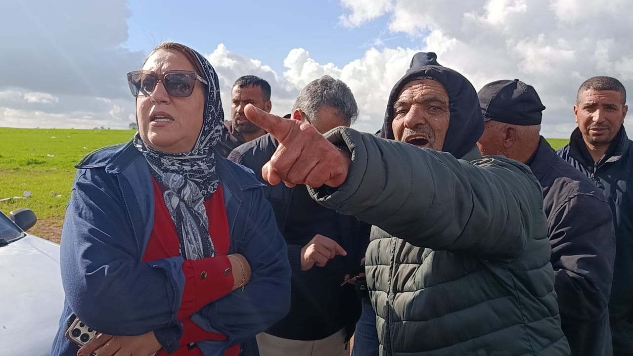 IMG 20260115 WA0032 - مشاهد بريس