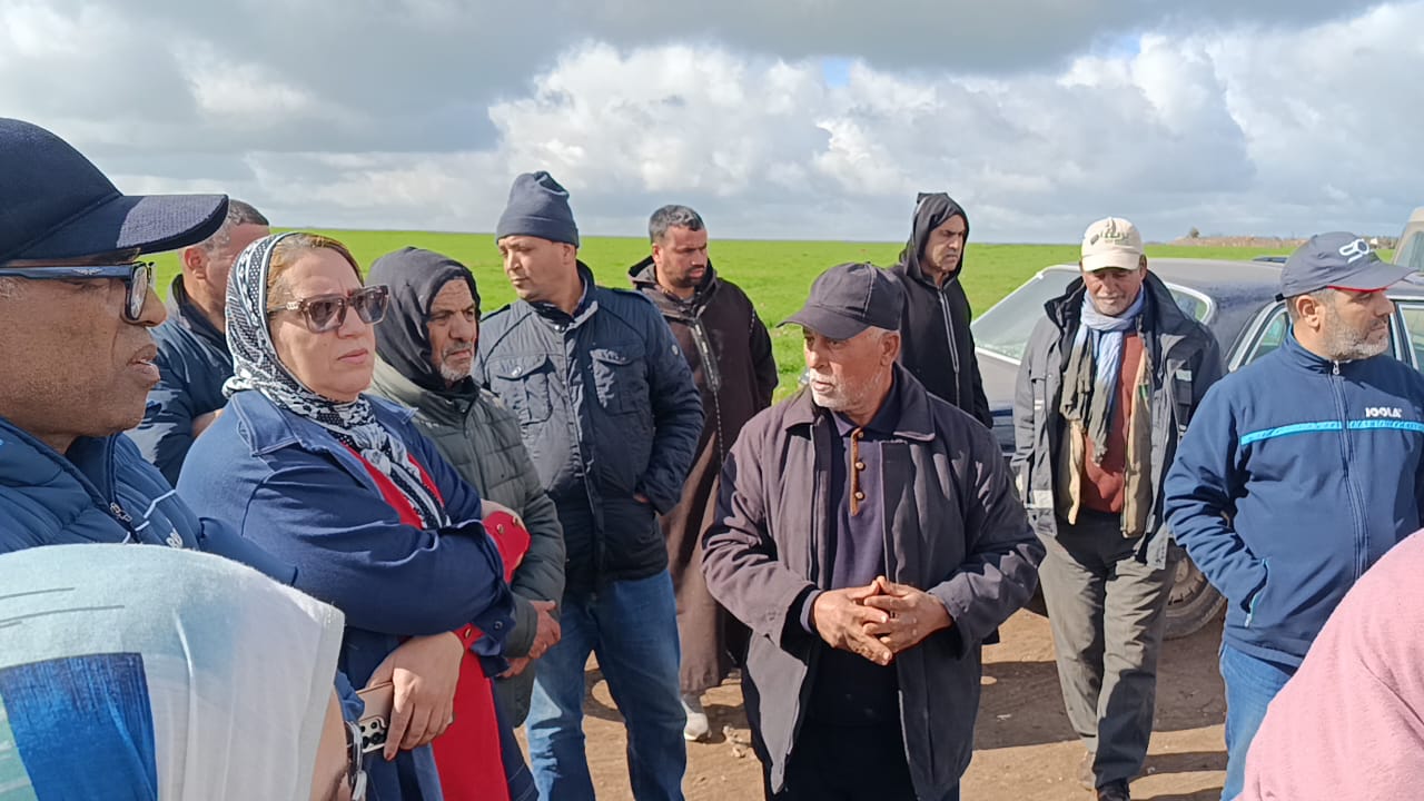 IMG 20260115 WA0036 - مشاهد بريس