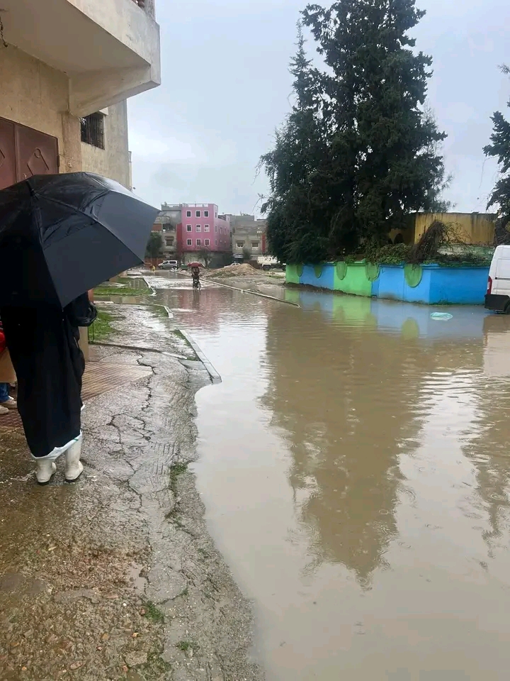 IMG 20260124 WA0008 - مشاهد بريس