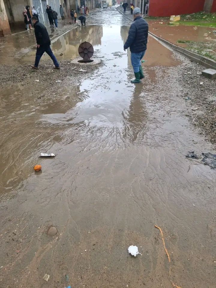 IMG 20260124 WA0009 - مشاهد بريس