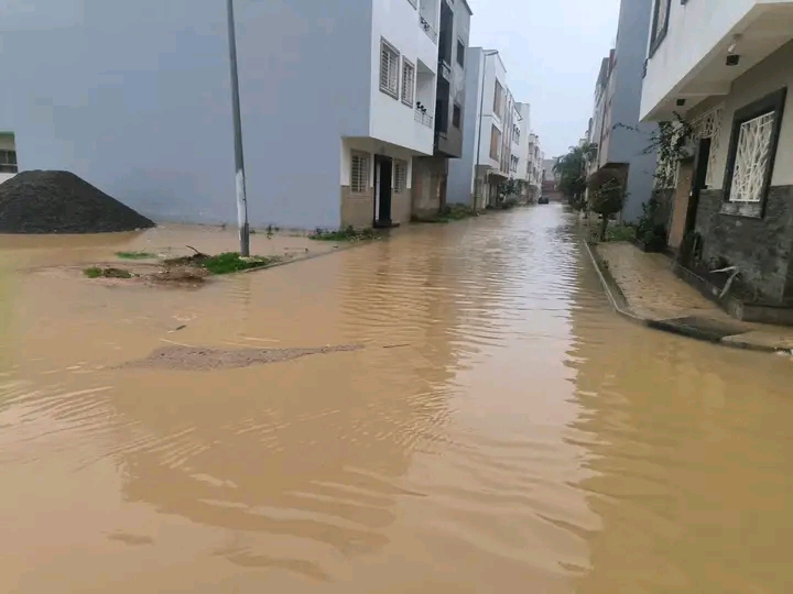 IMG 20260129 WA0005 - مشاهد بريس