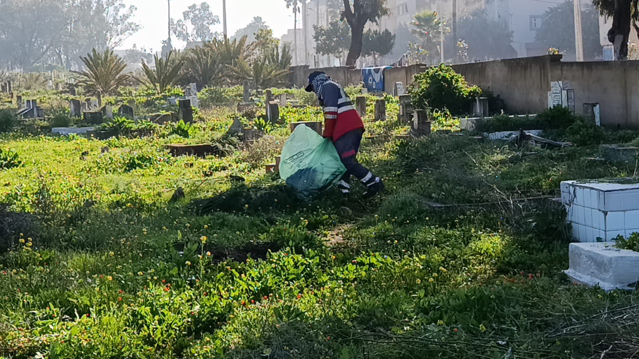 IMG 20260201 WA0072 - مشاهد بريس