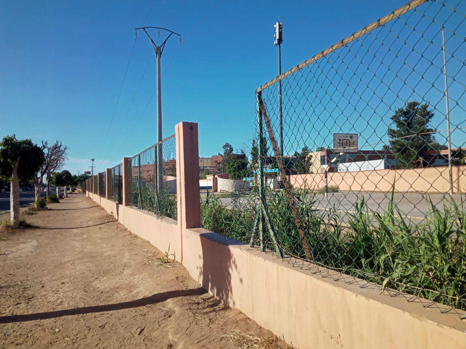 IMG 20260210 WA0071 - مشاهد بريس