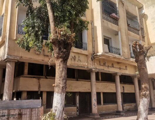 IMG 20260217 WA0060 - مشاهد بريس