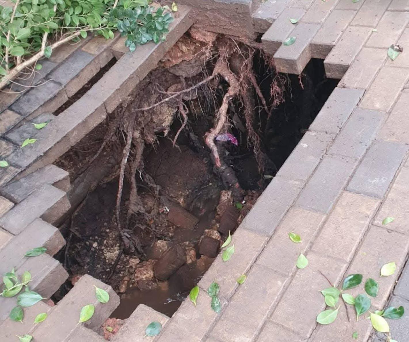 IMG 20260217 WA0063 - مشاهد بريس