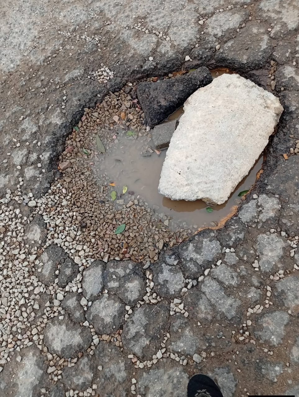 IMG 20260217 WA0064 - مشاهد بريس