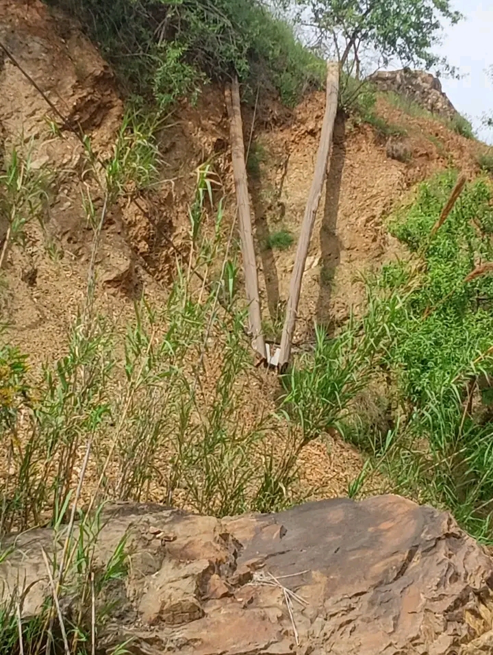 IMG 20260507 WA0011 - مشاهد بريس