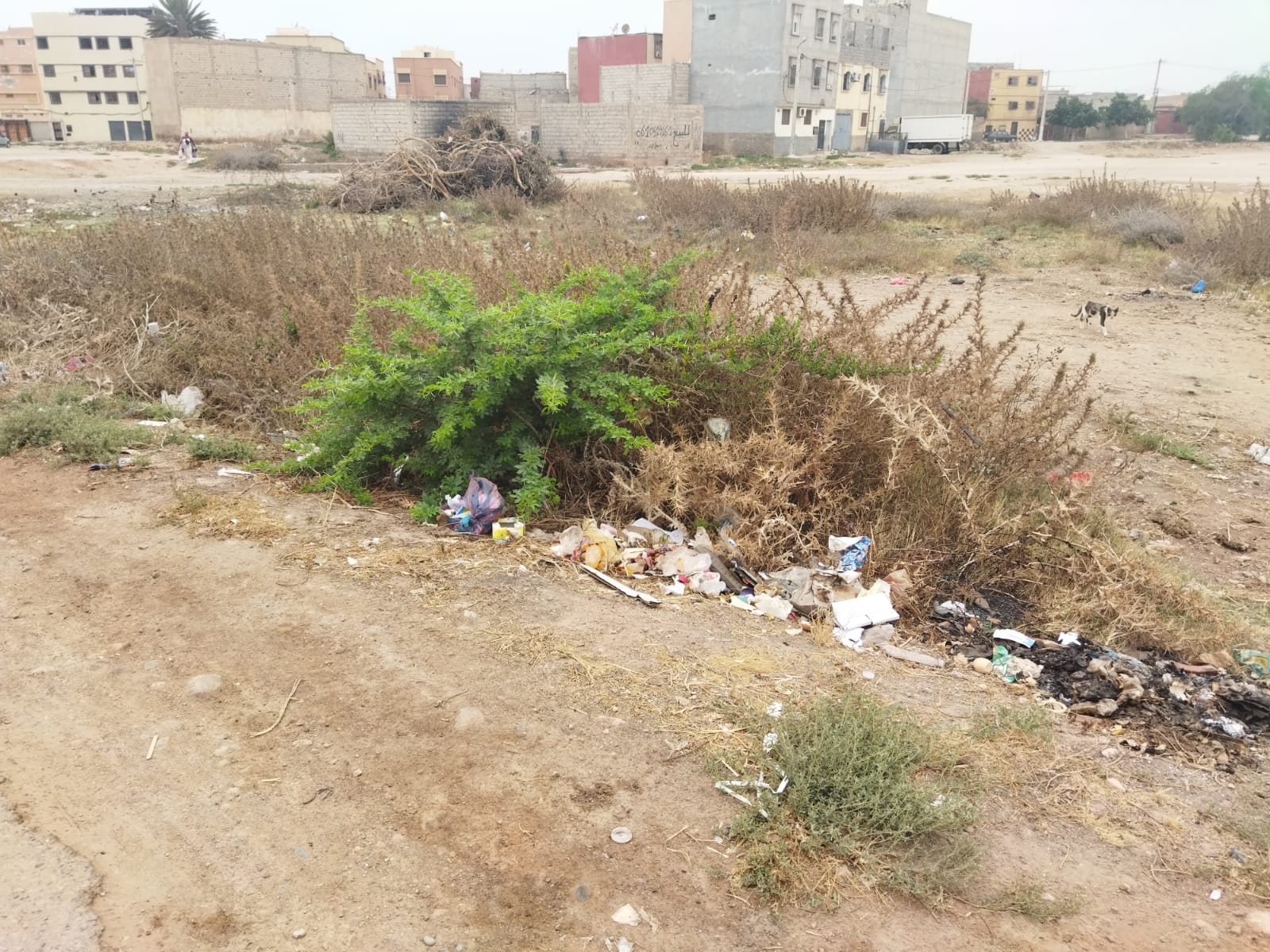 WhatsApp Image 2026 07 24 at 13.54.2433 - مشاهد بريس