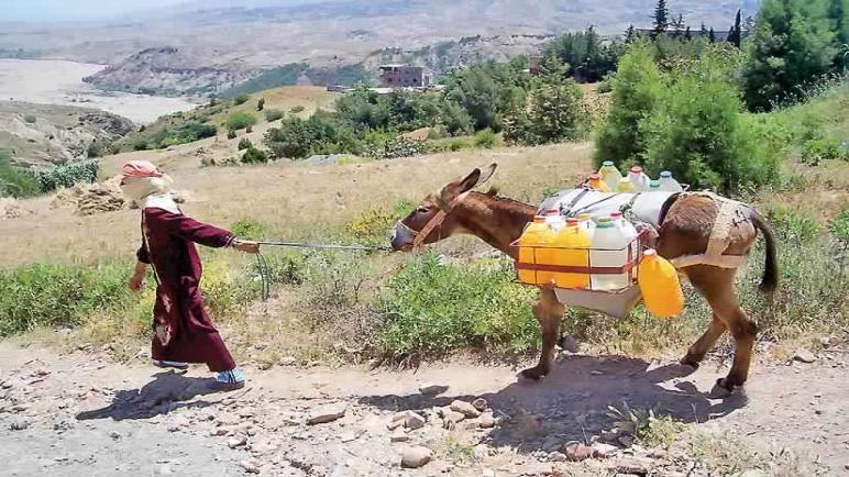 “أرقام مفزعة” حول التقلص المستمر لـ”حصة المياه المتاحة لكل فرد”