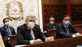 مشروع القانون المتعلق بالاستعمالات المشروعة للقنب الهندي يروم تحسين دخل المزارعين وخلق فرص واعدة وقارة للشغل