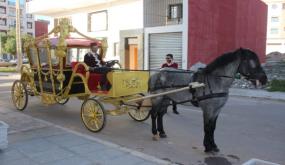 عربات “كوتشي جديدة” بمحركات صديقة للبيئة بأكادير