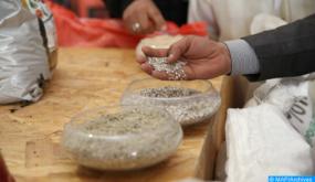 الموسم الفلاحي 2020-2021: المكتب الشريف للفوسفاط يطلق المرحلة الثانية من برنامج “المثمر للزرع المباشر”