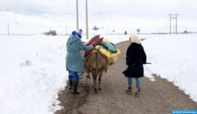 اجتماع موسع للتخفيف من آثار موجة البرد لموسم الشتاء 2020- 2021 إقليم الحوز