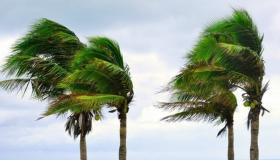 طقس الأحد ….رياح قوية نوعا ما وسحب منخفضة