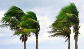 طقس الأحد ….رياح قوية نوعا ما وسحب منخفضة