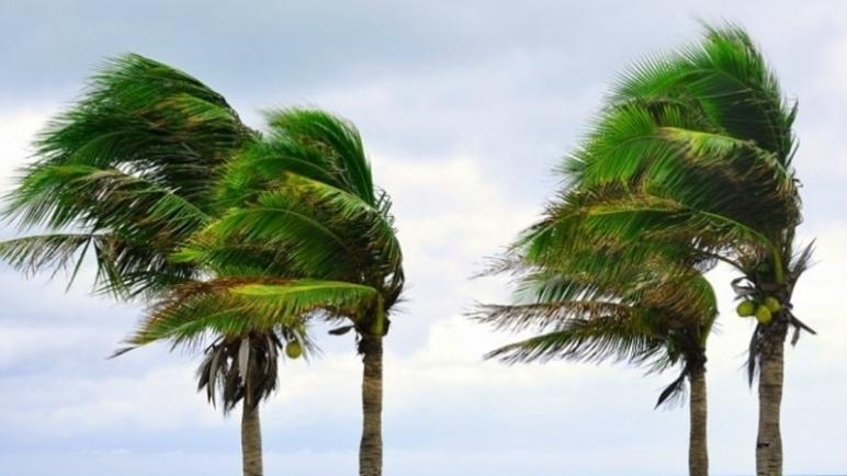 طقس الأحد ….رياح قوية نوعا ما وسحب منخفضة