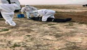 المغرب يسجل 1343 إصابة جديدة مؤكدة بكورونا خلال 24 ساعة