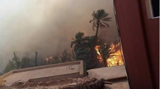 إخماد حريق في واحة آيت منصور قرب مدينة تافراوت