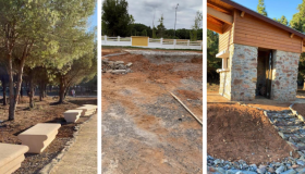 الإعتداء على “الحزام الأخضر ” يثير غضب الملك !