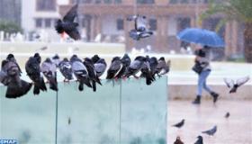 توقعات أحوال الطقس ليوم غد الإثنين