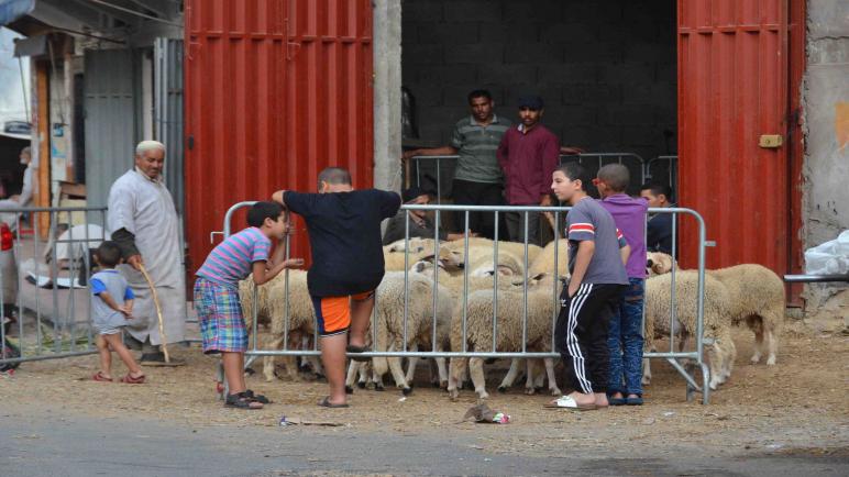 تحدير من إحتمال زيادة 10 آلاف حالة إصابة خلال فترة عيد الأضحى