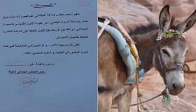 احتجاز حمار أكل عشب مقر بلدية بتارودانت و عرض آخر للبيع بالمزاد العلني في بني ملال
