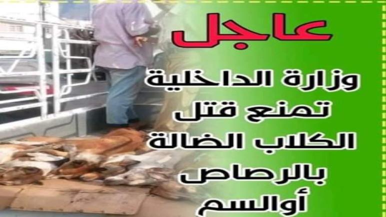 وزارة الداخلية تمنع قتل الكلاب الضالة بالرصاص أوالسم…