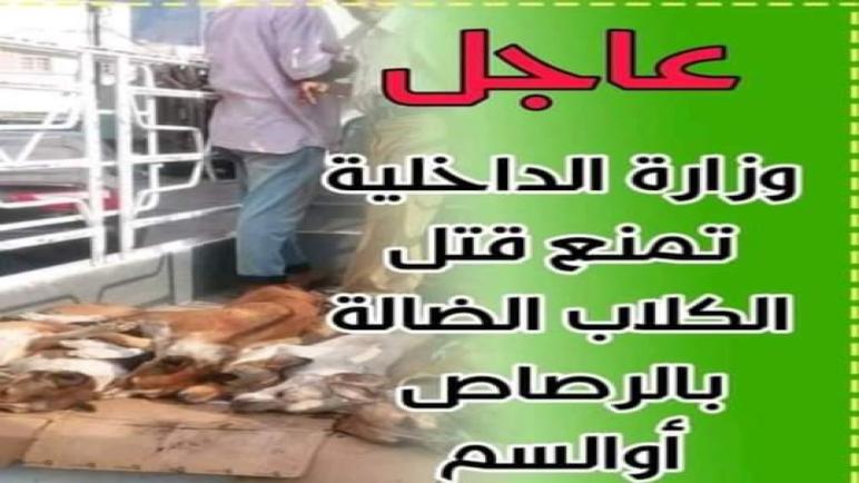 وزارة الداخلية تمنع قتل الكلاب الضالة بالرصاص أوالسم…